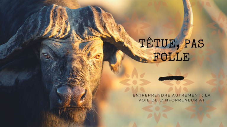 Tête de buffle en gros plan, symbole de force et de détermination